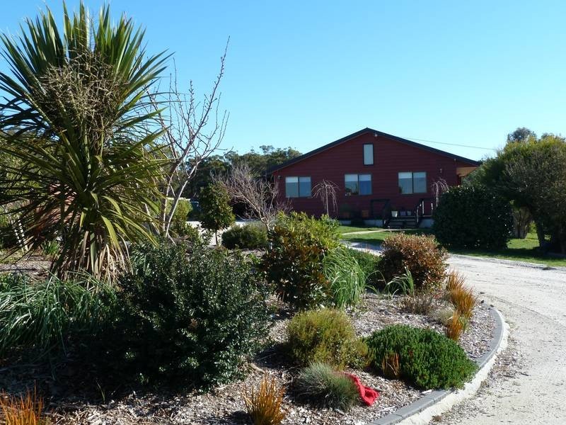 12 Ada Street, Bridport TAS 7262