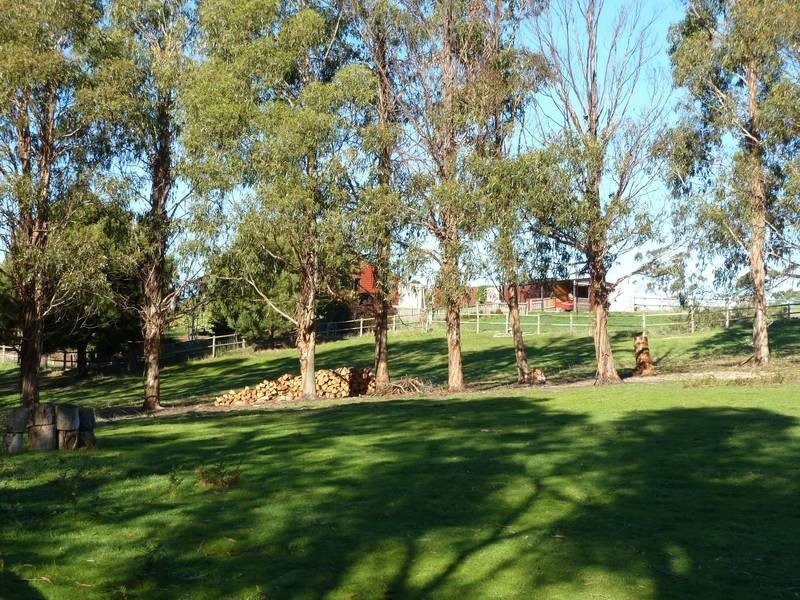 12 Ada Street, Bridport TAS 7262