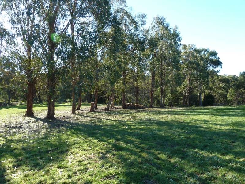 12 Ada Street, Bridport TAS 7262