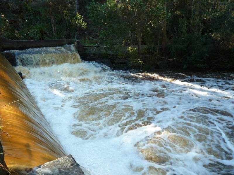 12 Ada Street, Bridport TAS 7262