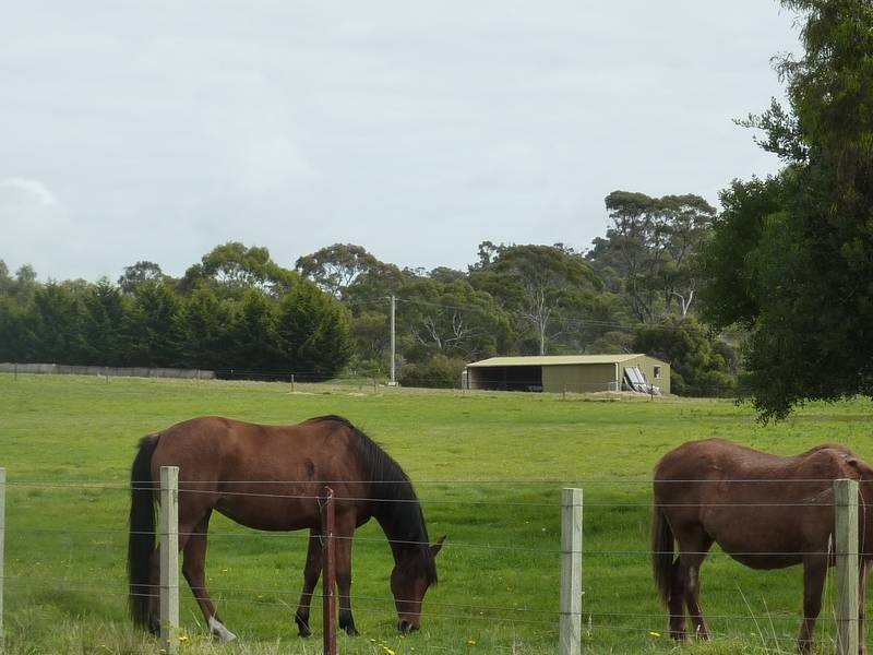 12 Ada Street, Bridport TAS 7262