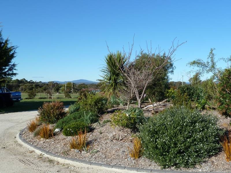 12 Ada Street, Bridport TAS 7262