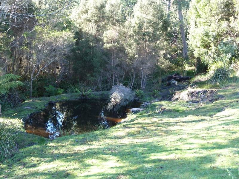 12 Ada Street, Bridport TAS 7262