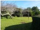 181 West Minstone Road, Scottsdale TAS 7260