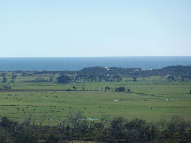 906 Barnbougle Road, Bridport TAS 7262