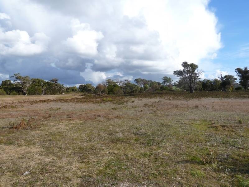 . Heckrath Road, Bridport TAS 7262