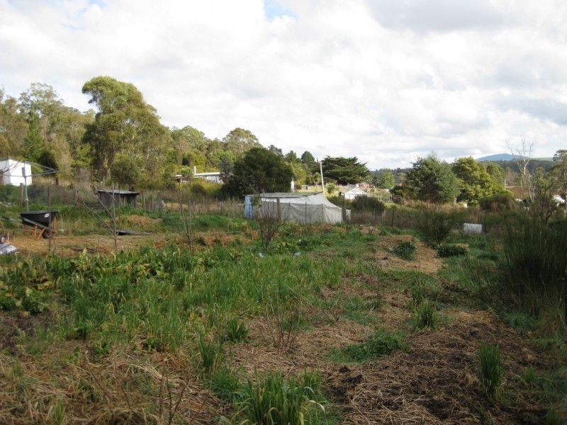 6 Alfred Street, Pioneer TAS 7264