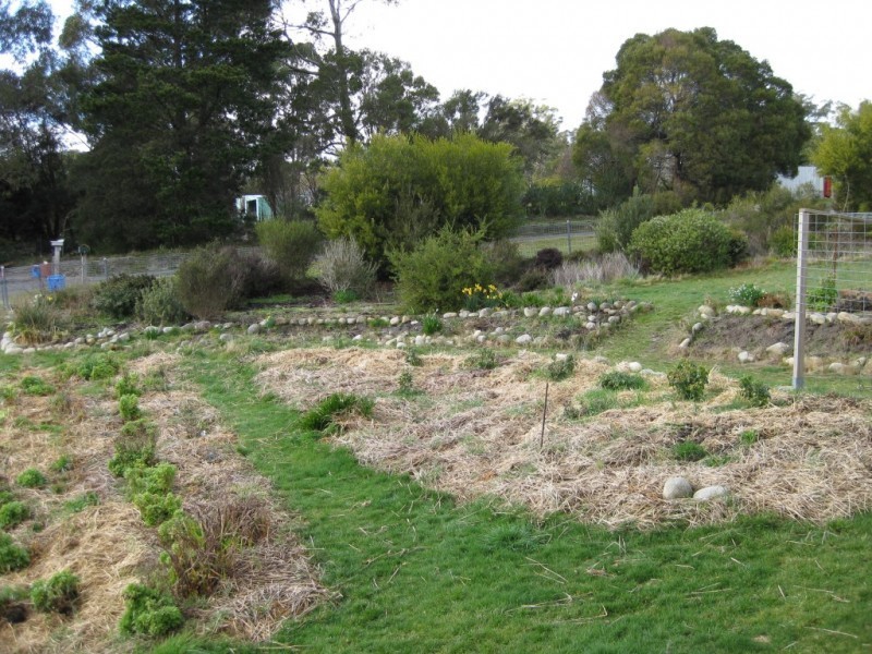 6 Alfred Street, Pioneer TAS 7264