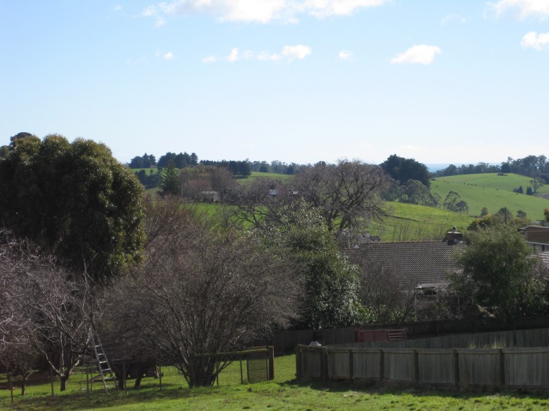 1 Scott Street, Scottsdale TAS 7260