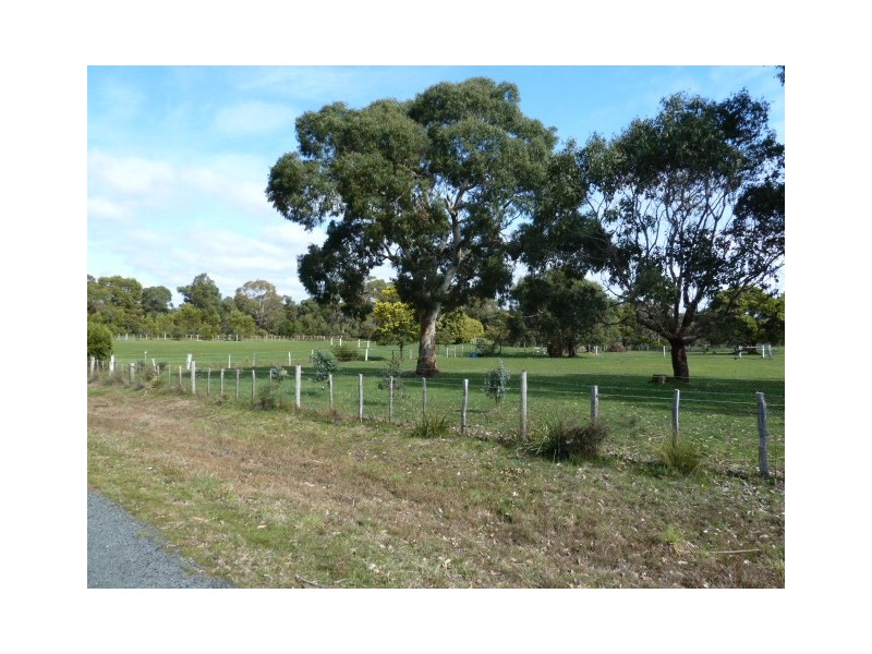 355 Sandy Points Road, Bridport TAS 7262