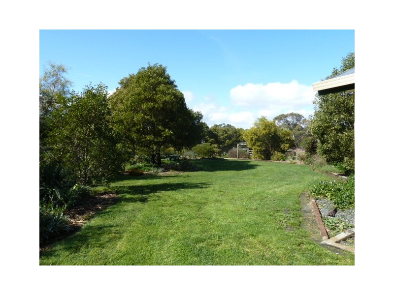 355 Sandy Points Road, Bridport TAS 7262
