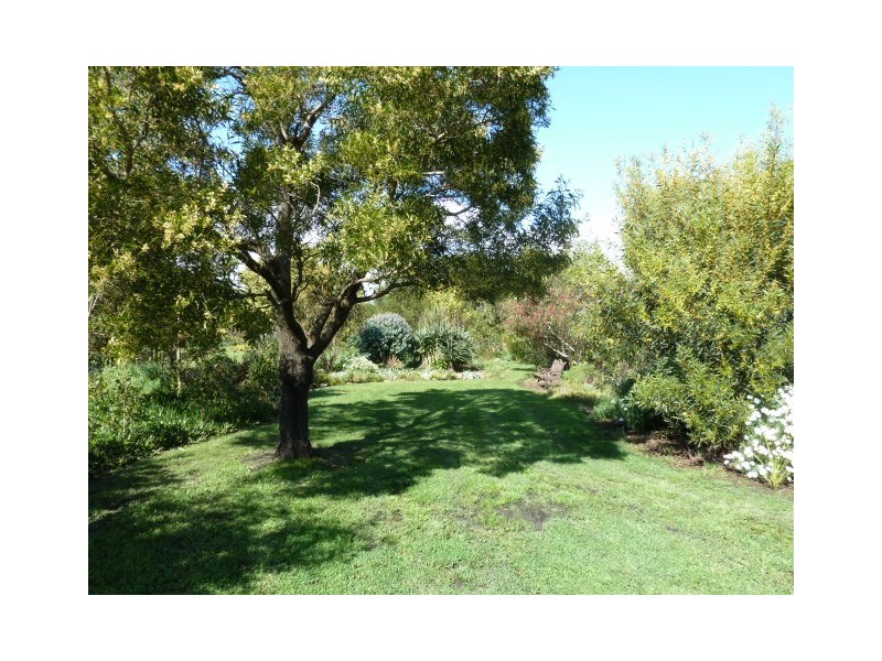 355 Sandy Points Road, Bridport TAS 7262