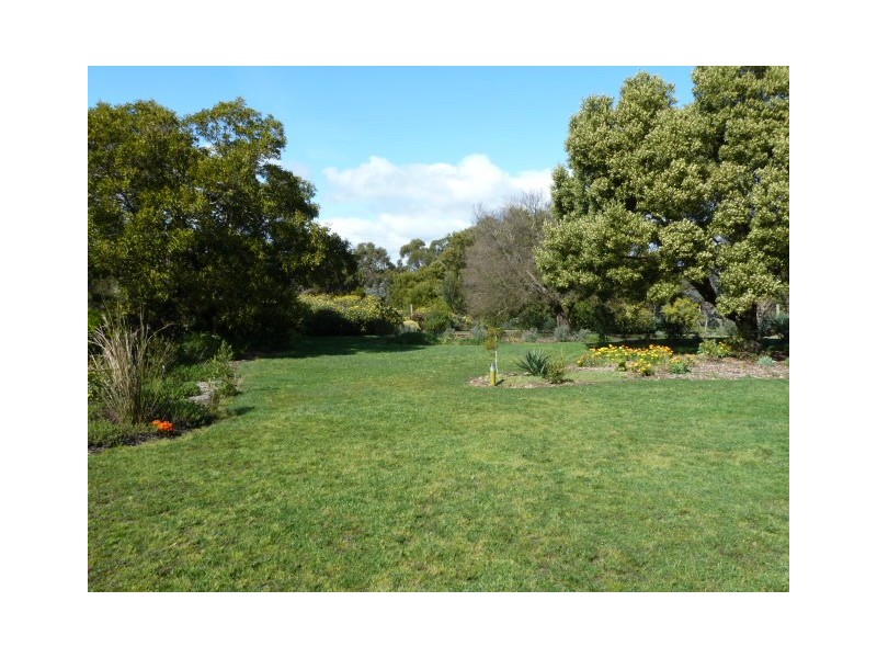 355 Sandy Points Road, Bridport TAS 7262