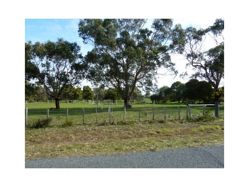 355 Sandy Points Road, Bridport TAS 7262