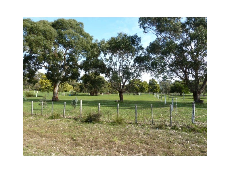 355 Sandy Points Road, Bridport TAS 7262