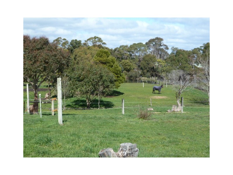 355 Sandy Points Road, Bridport TAS 7262