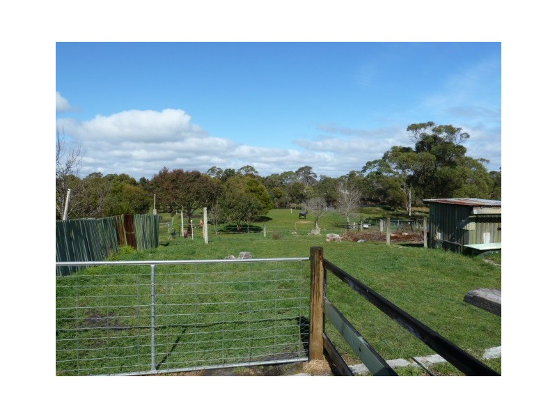 355 Sandy Points Road, Bridport TAS 7262