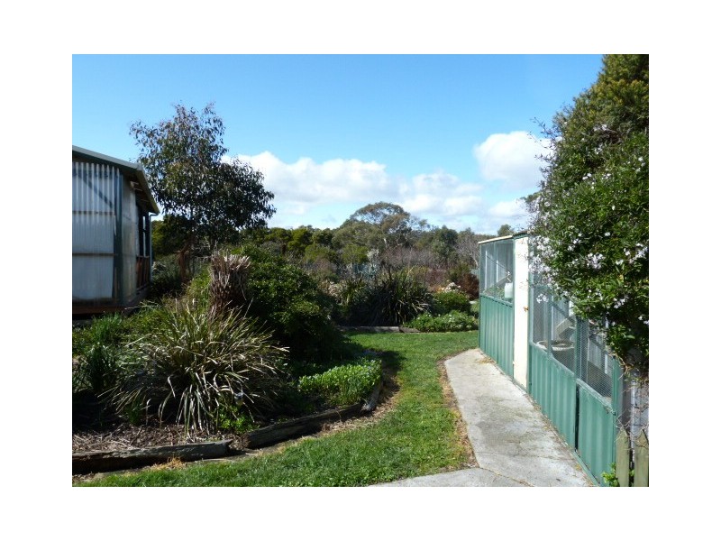 355 Sandy Points Road, Bridport TAS 7262