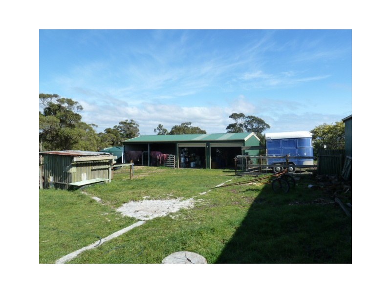 355 Sandy Points Road, Bridport TAS 7262