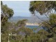 8 William Street, Bridport TAS 7262