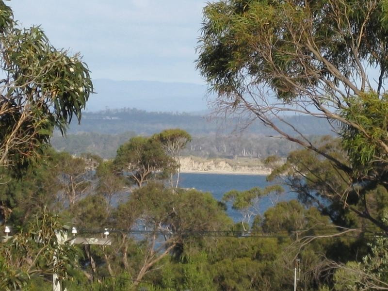 8 William Street, Bridport TAS 7262
