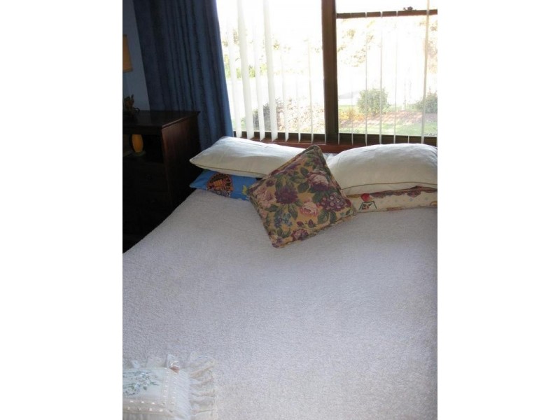 8 William Street, Bridport TAS 7262