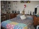 8 William Street, Bridport TAS 7262