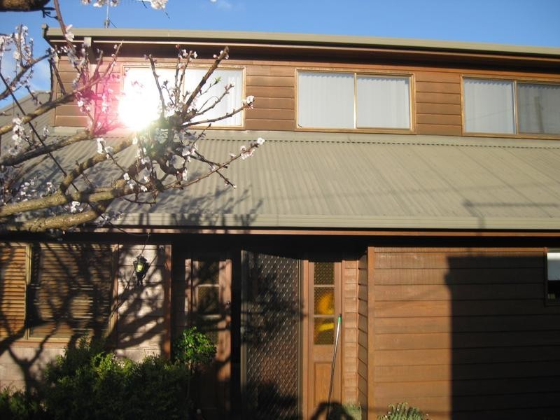 8 William Street, Bridport TAS 7262