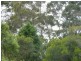 2 John Street, Bridport TAS 7262