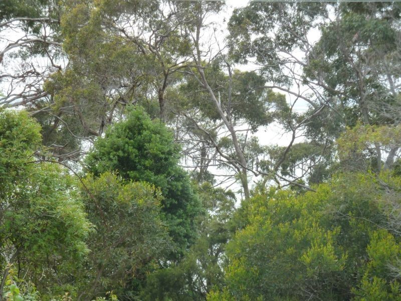 2 John Street, Bridport TAS 7262