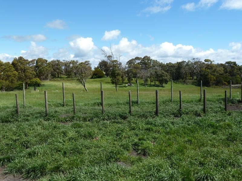 371 Sandy Points Road, Bridport TAS 7262