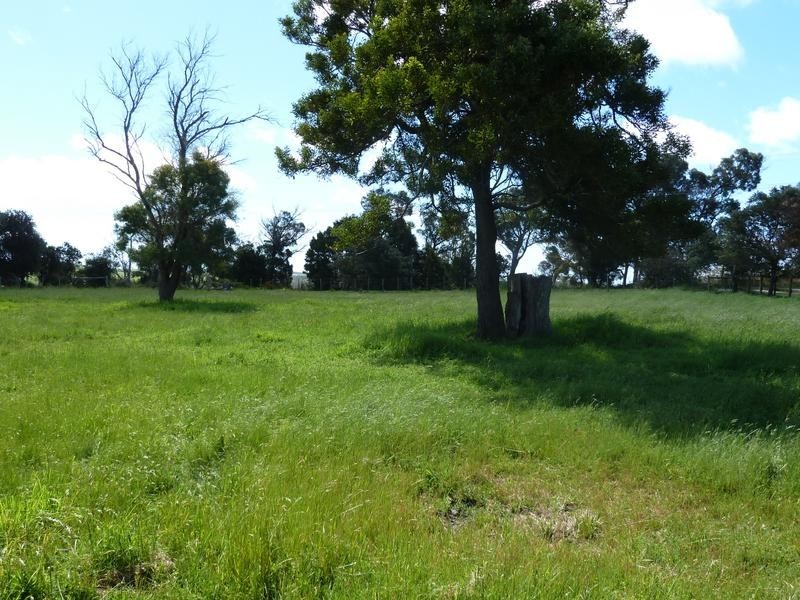 371 Sandy Points Road, Bridport TAS 7262