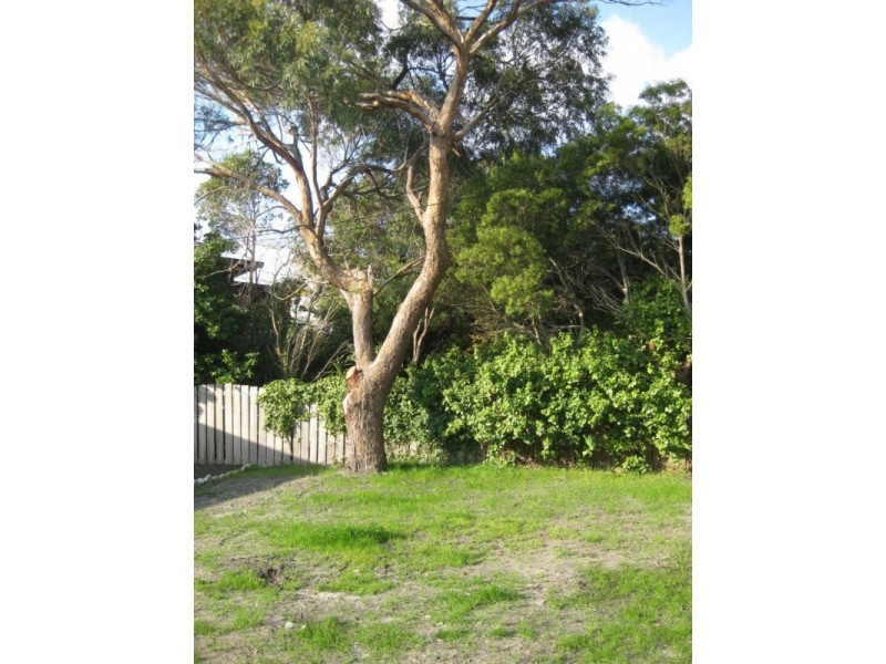 26 Thomas Street, Bridport TAS 7262