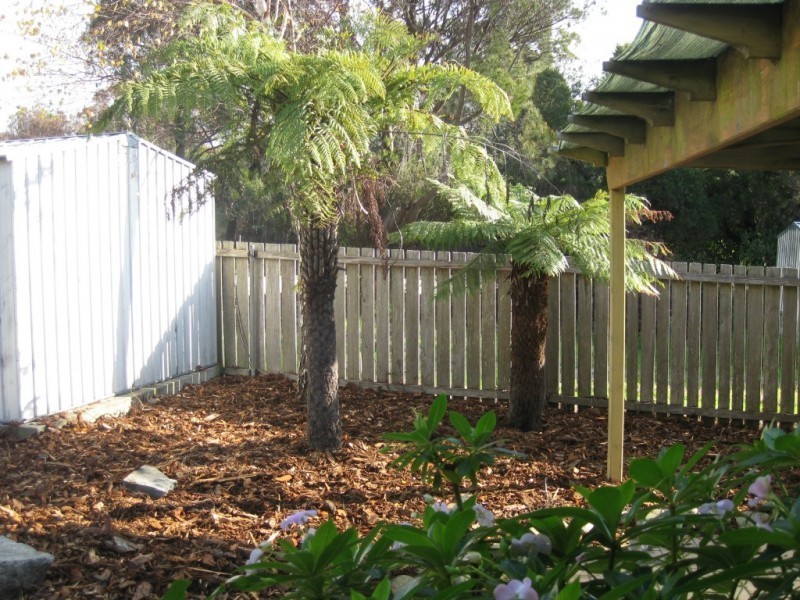 26 Thomas Street, Bridport TAS 7262