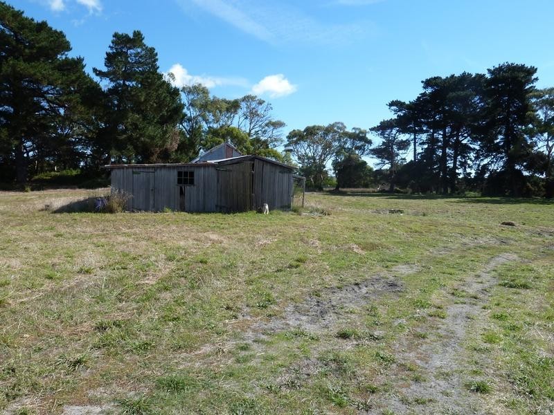 273 Waterhouse Road, Bridport TAS 7262