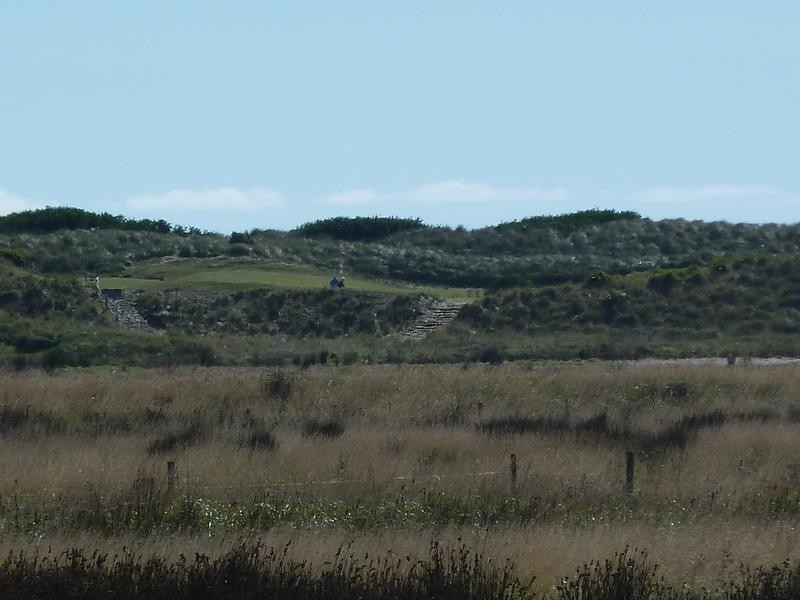 273 Waterhouse Road, Bridport TAS 7262