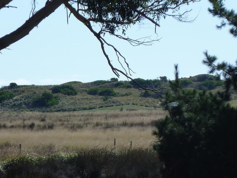 273 Waterhouse Road, Bridport TAS 7262