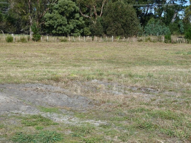 273 Waterhouse Road, Bridport TAS 7262