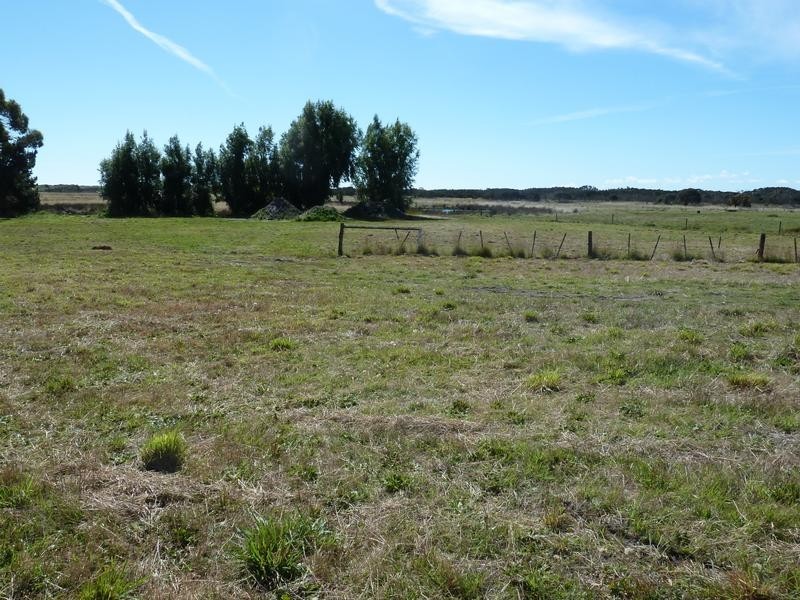 273 Waterhouse Road, Bridport TAS 7262