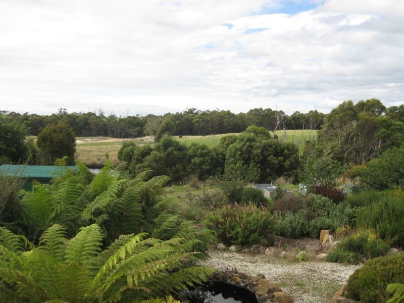 1438 Bridport Road, Bridport TAS 7262