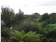 1438 Bridport Road, Bridport TAS 7262
