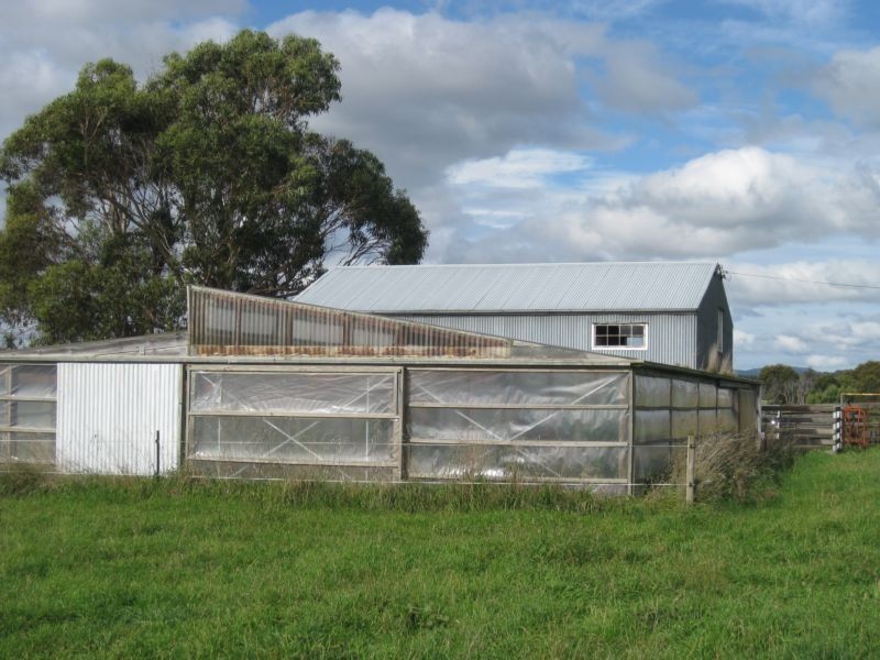 1438 Bridport Road, Bridport TAS 7262