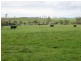 1438 Bridport Road, Bridport TAS 7262