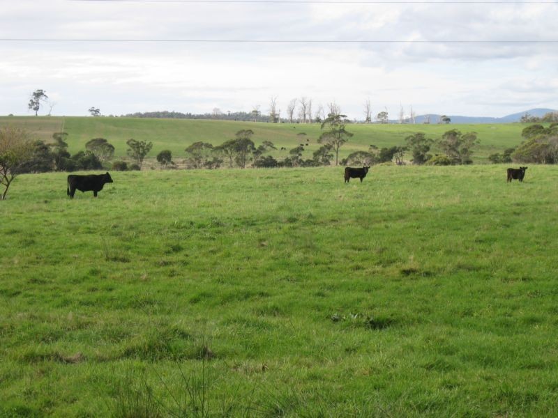1438 Bridport Road, Bridport TAS 7262
