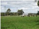 1438 Bridport Road, Bridport TAS 7262
