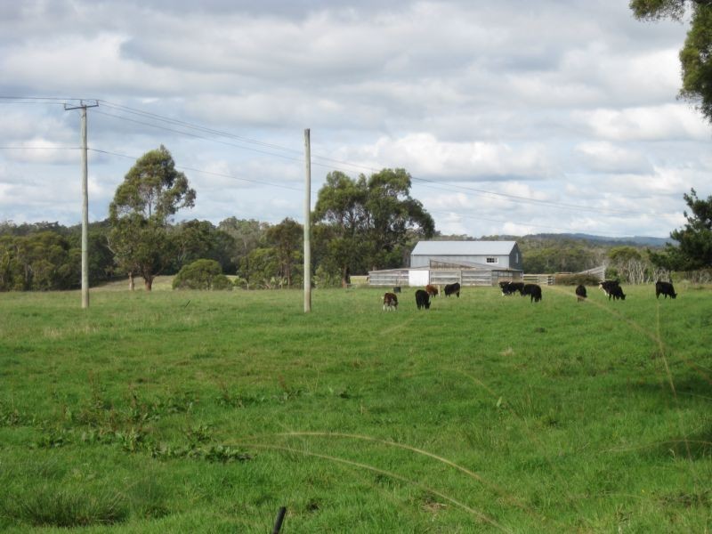 1438 Bridport Road, Bridport TAS 7262