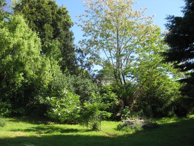 15-17 Union Street, Scottsdale TAS 7260