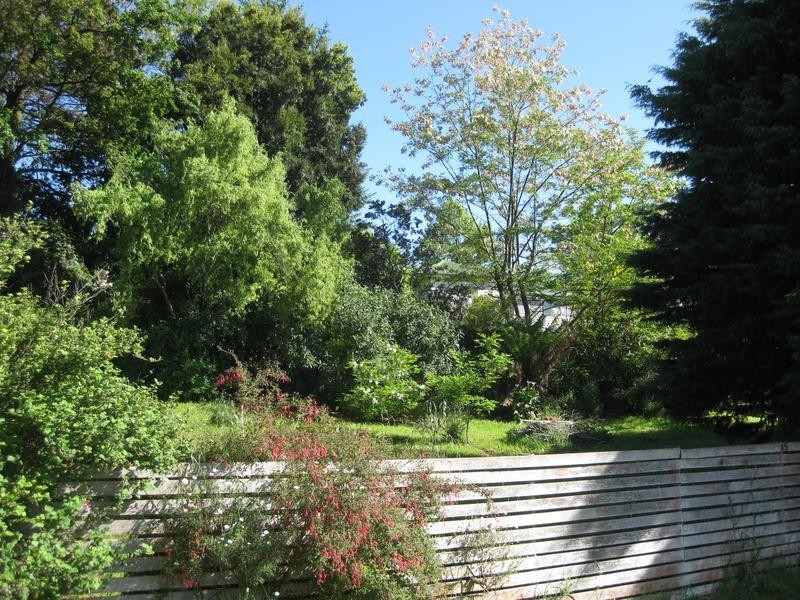 15-17 Union Street, Scottsdale TAS 7260