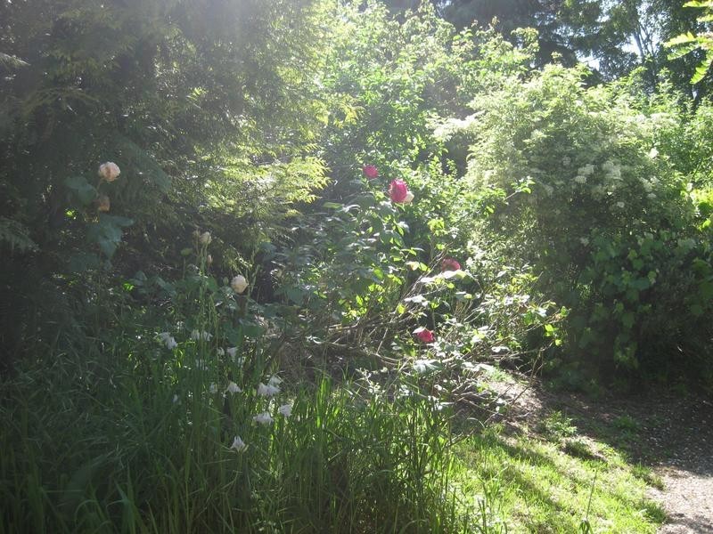 15-17 Union Street, Scottsdale TAS 7260