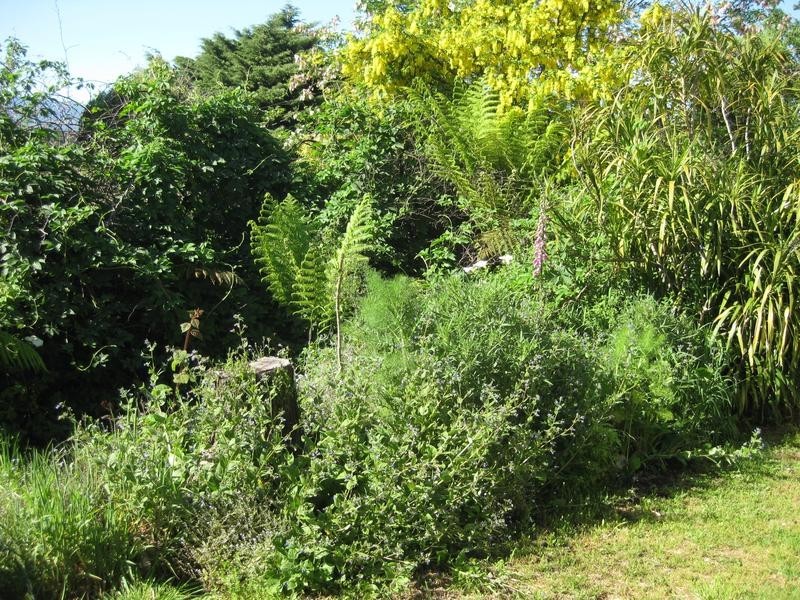 15-17 Union Street, Scottsdale TAS 7260